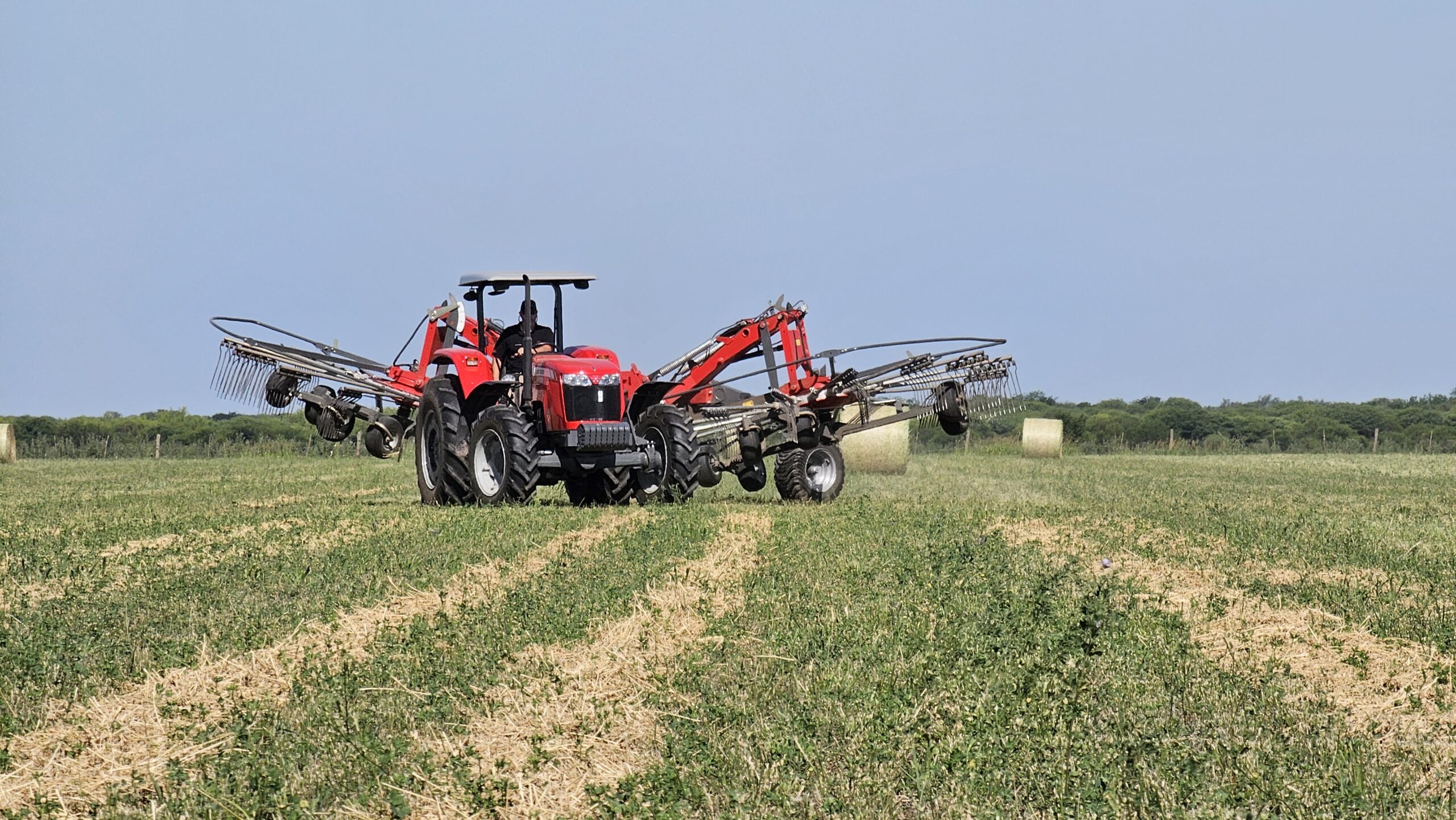 Expo Alfalfa 2024
