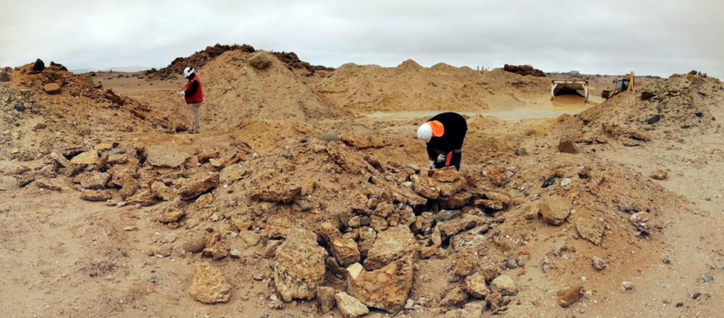 BIFOX & THERIUM. Paleontological restoration activities for fossil conservation