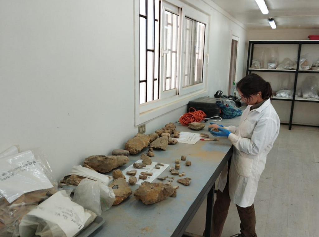 BIFOX & THERIUM. Paleontological restoration activities for fossil conservation
