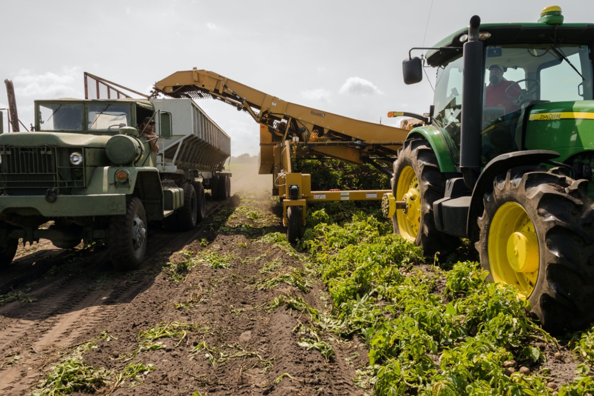 Bifox: Phosphate And The Future Food