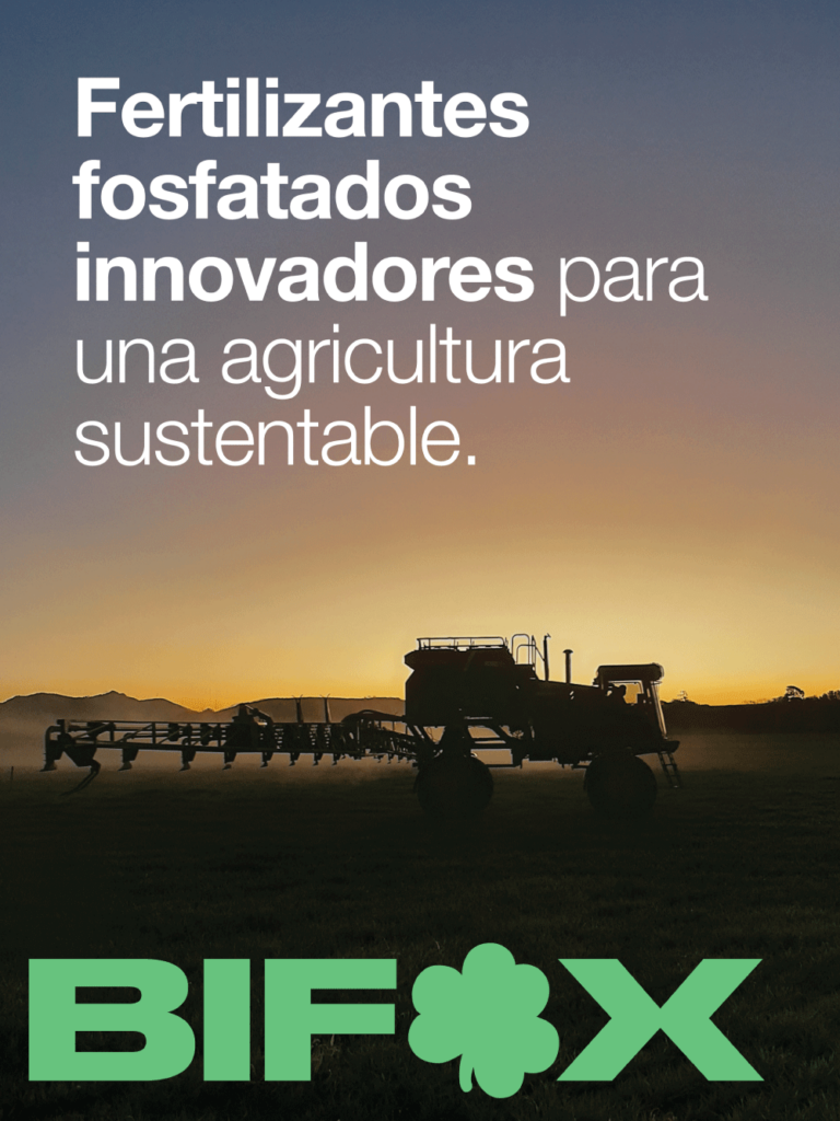 Bf Digitalflyer